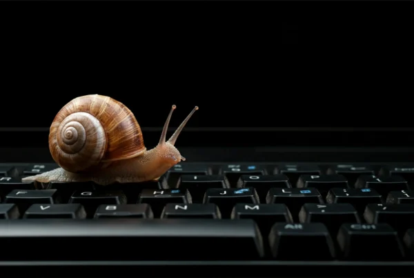 Snail crawling on laptop keyboard representing a painfully slow-loading website.